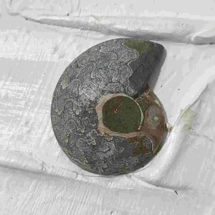 گردنبند نقره با فسیل آمونیت طبیعی اصل کد 62 (بدون زنجیر)