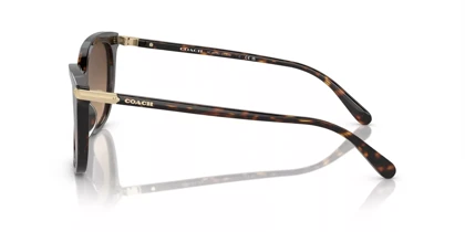 عینک آفتابی کوچ Coach HC8378U