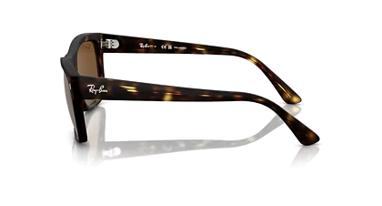 عینک آفتابی ریبن RayBan RB 4428