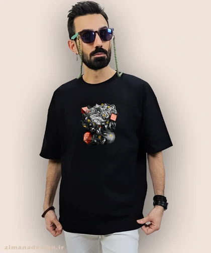 تیشرت لش مردانه و زنانه طرح آلبوم مجاز هیچکس