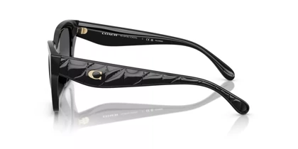 عینک آفتابی کوچ Coach HC8418U 5002T3