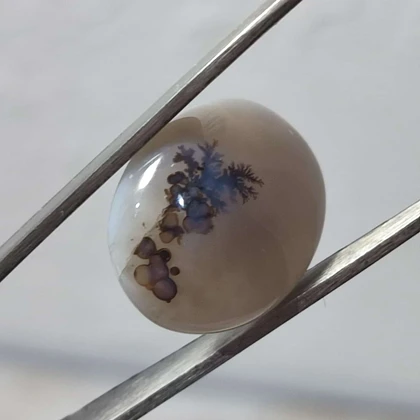 عقیق شجر قائن اصل کد 20