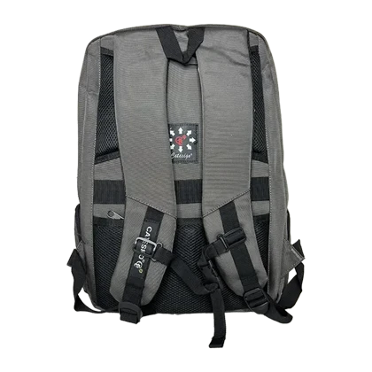 کوله پشتی لپ تاپ Catesigo مدل CS98775