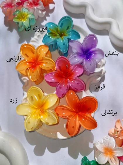 کلیپس پلومریا متوسط