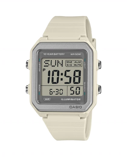 ساعت مچی کاسیو CASIO W-221H-8A