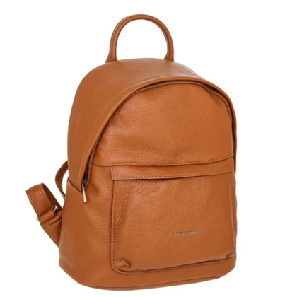 کوله پشتی مدل David Jones 7013-2