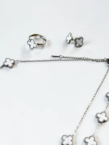 سرویس ون کلیف نقره ای