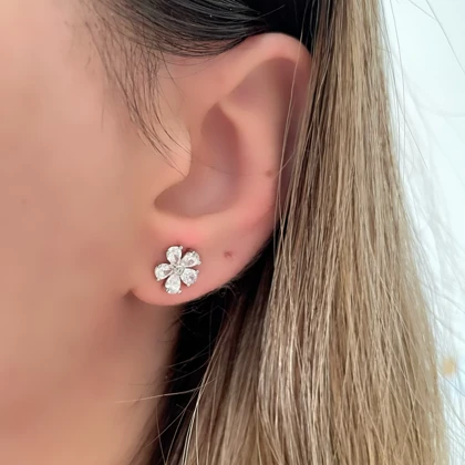 گلگوش های میخی ژوپینگ