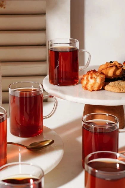 لیوان دسته دار دلی 270 میل