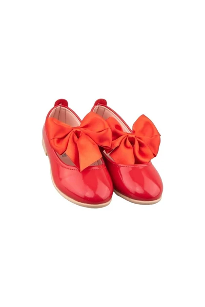 کالج بچگانه liger liger