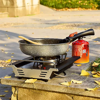 اجاق گاز پرتابل تک شعله SNOW HAWK SN.B21