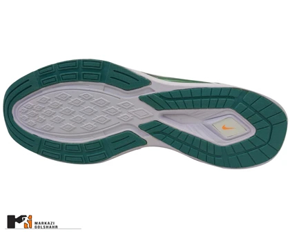 کفش نایکWinflo V2 کد 2005639