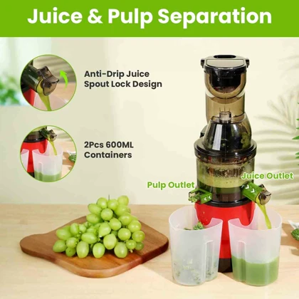 آبمیوه گیری Slow Juicer مدل YX01 ظرفیت 1000 میلی‌لیتر و توان 500 وات