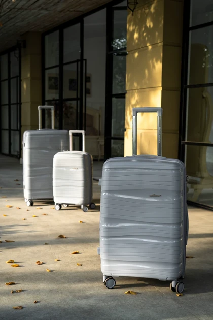 چمدان سایز کوچک مدل Rose Merry RL-301-Small