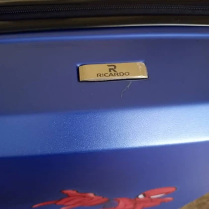 چمدان کودک مرد عنکبوتی سایز 24 رنگ سرمه ای ricardobeverlyhills