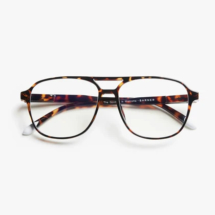 عینک مخصوص کامپیوتر بارنر Barner Brad Glossy