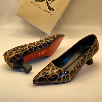 مجلسی پلنگی