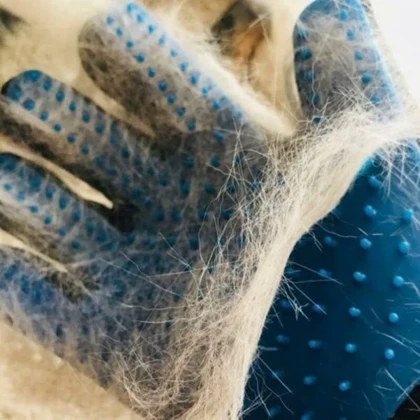 دستکش پرزگیر حیوانات