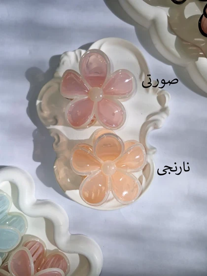 کلیپس گل حاشیه‌دار