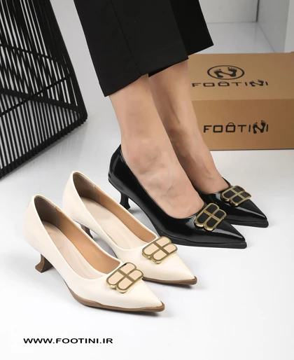 کفش زنانه مجلسی لودشکا MR