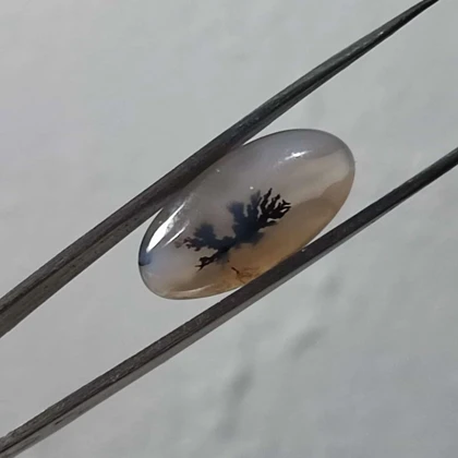 عقیق شجر قائن اصل کد 21