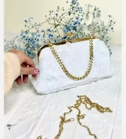 کیف مجلسی تدی