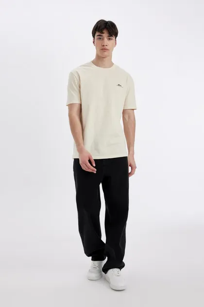 تیشرت آستین کوتاه چاپی یقه یقه ای منظم C6241AX24HS