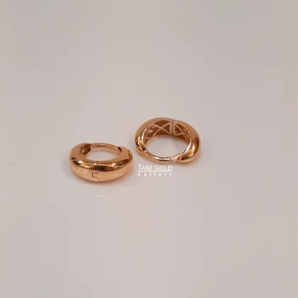 گوشواره سانا کلیپسی-کد 252
