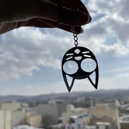 جاسوییچی گربه