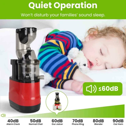 آبمیوه گیری Slow Juicer مدل YX01 ظرفیت 1000 میلی‌لیتر و توان 500 وات