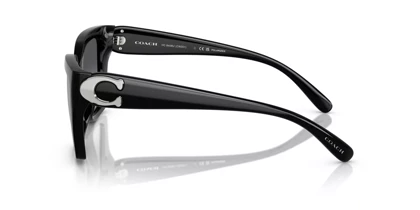 عینک آفتابی کوچ Coach HC8408U 5002T3