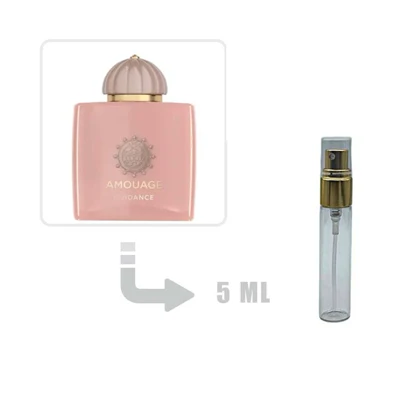 دکانت عطر ادکلن آمواج گایدنس مردانه و زنانه 5 میل اصلی Amouage Guidance 5ml