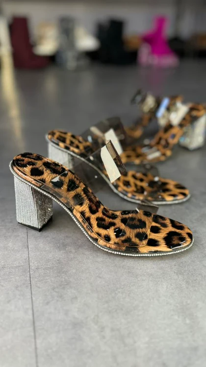 p499 - طلق زیره نگینی p499