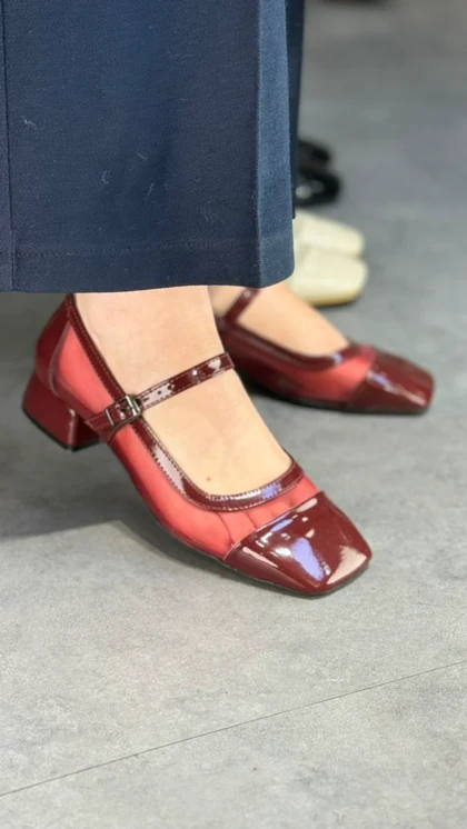 p360 - توری خوکی p360