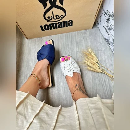 اسلیپر تا به تا _ 1481