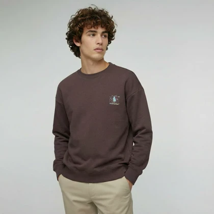 دورس یقه گرد داخل سوئیت (906) POLORALPLAUR