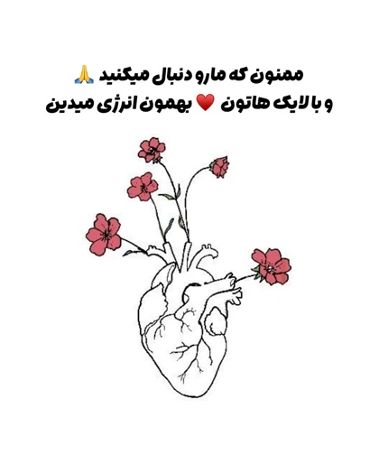 شلوارک میکرو آیس