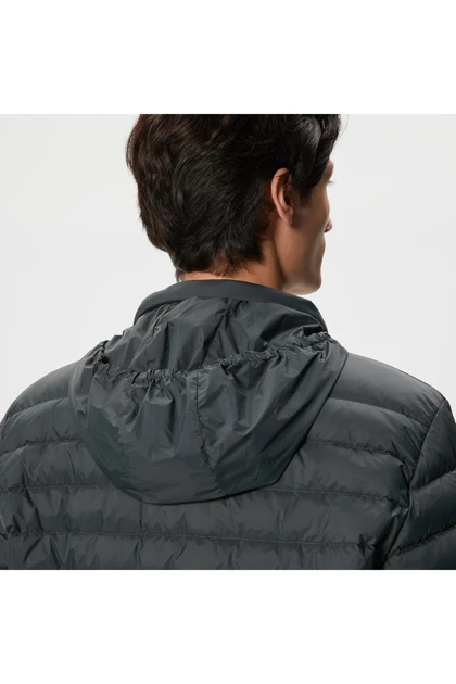 کت و کاپشن مردانه lacoste