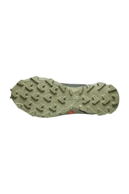 کفش مردانه در فضای باز Alphacross 5 Gtx L47310300