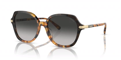 عینک آفتابی کوچ Coach HC8377U
