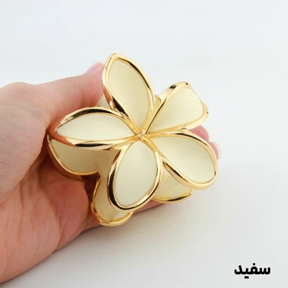 کلیپس دخترانه مدل پلومریا دور طلایی بزرگ