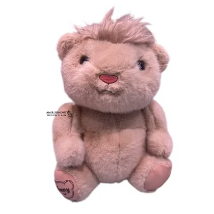 عروسک مودی دو چهره