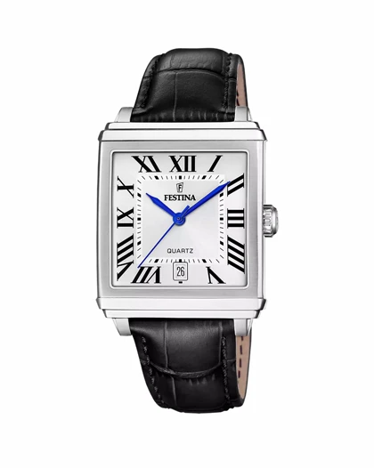 ساعت مچی مردانه فستینا FESTINA F20681/1