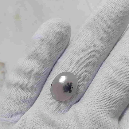 عقیق شجر قائن اصل کد 31