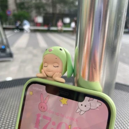 سانی انجل شانسی