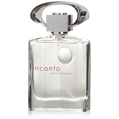 عطر ادکلن اینکانتو پور هوم سالواتوره فراگامو 30 میل اشدی اکسترا پرفیوم Salvatore Ferragamo Incanto Pour Homme 30ml ASHDI Extra Parfum