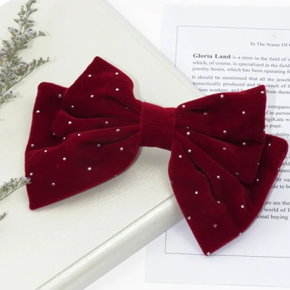 گیره مو زنانه مدل فرانسوی نگین‌دار کد G_Lnd_3178