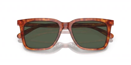 عینک آفتابی کوچ Coach HC8385U