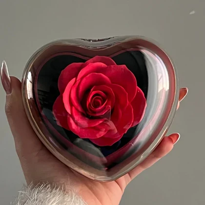 باکس قلب چرخشی