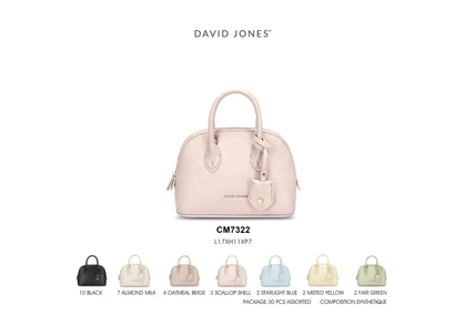 کیف دستی مدل David Jones CM7322